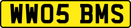 WW05BMS