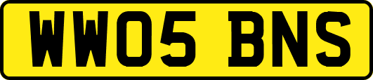 WW05BNS