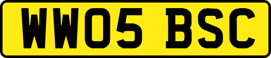 WW05BSC