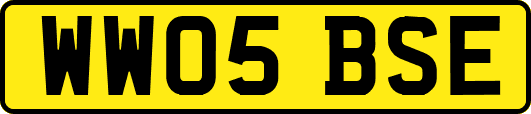 WW05BSE