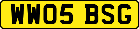 WW05BSG