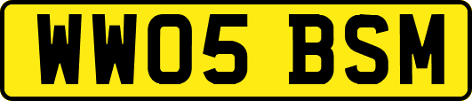 WW05BSM