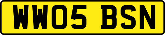 WW05BSN
