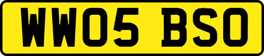 WW05BSO