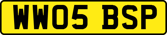 WW05BSP