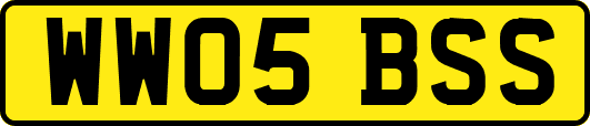 WW05BSS