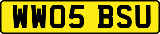 WW05BSU