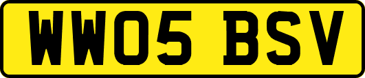 WW05BSV