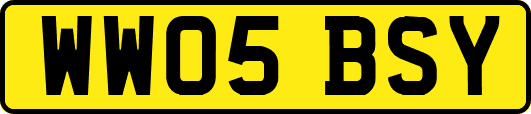 WW05BSY