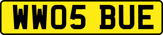 WW05BUE