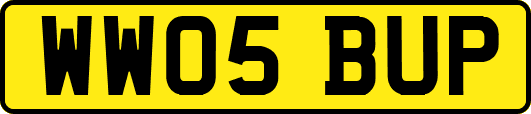 WW05BUP