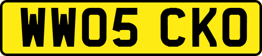 WW05CKO