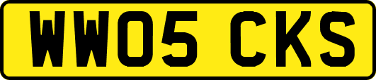 WW05CKS