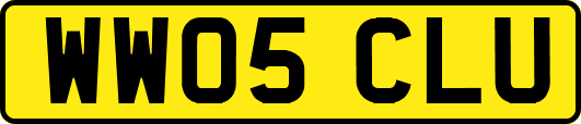 WW05CLU