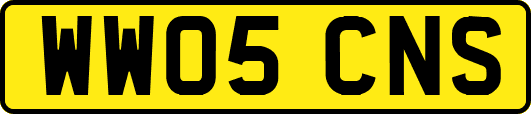 WW05CNS