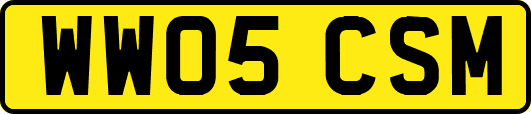 WW05CSM