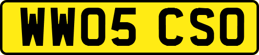 WW05CSO
