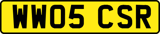 WW05CSR