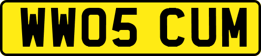 WW05CUM
