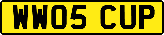WW05CUP