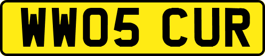 WW05CUR