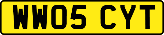 WW05CYT