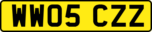 WW05CZZ