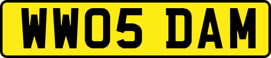 WW05DAM