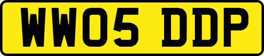 WW05DDP