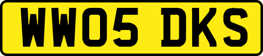 WW05DKS