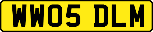 WW05DLM