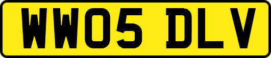 WW05DLV
