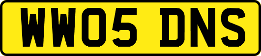 WW05DNS