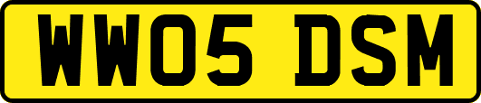 WW05DSM