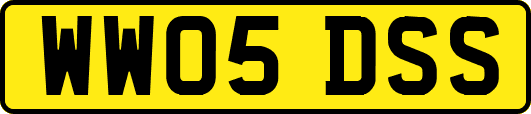 WW05DSS