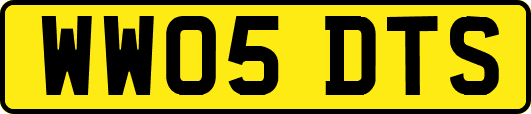 WW05DTS
