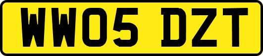WW05DZT