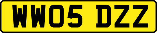 WW05DZZ