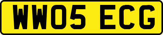 WW05ECG