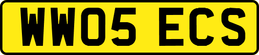 WW05ECS