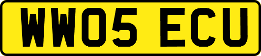 WW05ECU