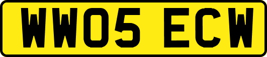 WW05ECW