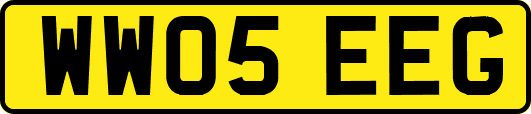 WW05EEG