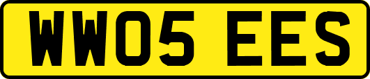 WW05EES