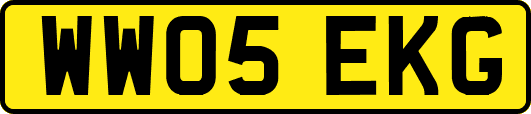 WW05EKG