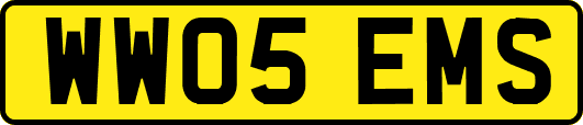 WW05EMS