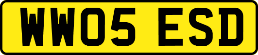 WW05ESD