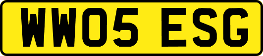 WW05ESG