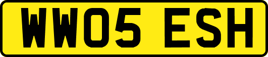 WW05ESH