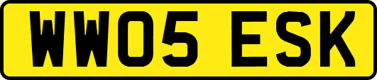 WW05ESK